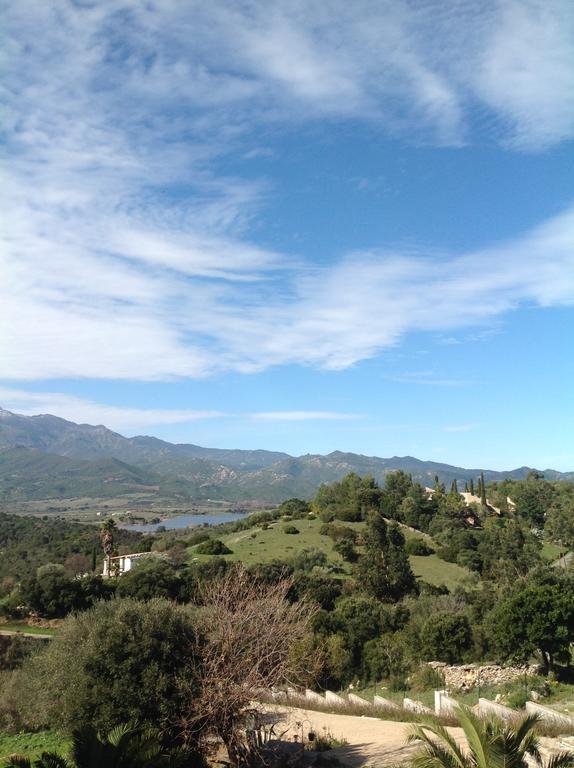Alba Oletta (Corsica)